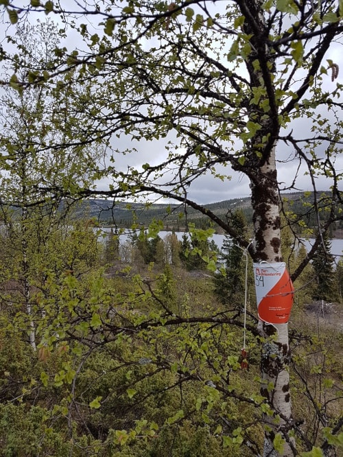 O-sesongen er på hell